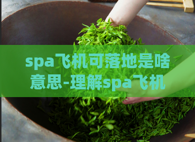 spa飞机可落地是啥意思-理解spa飞机的可落地意义