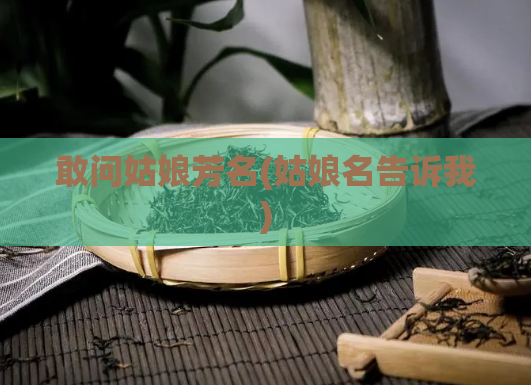 敢问姑娘芳名(姑娘名告诉我)