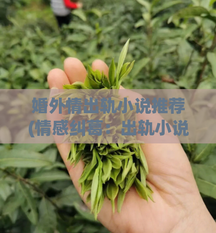 婚外情出轨小说推荐(情感纠葛：出轨小说推荐)
