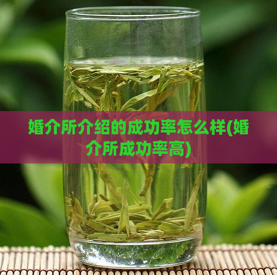 婚介所介绍的成功率怎么样(婚介所成功率高)
