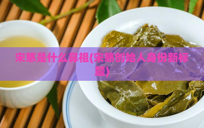 宋慈是什么鼻祖(宋慈创始人身份新标题)