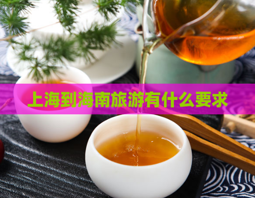 上海到海南旅游有什么要求