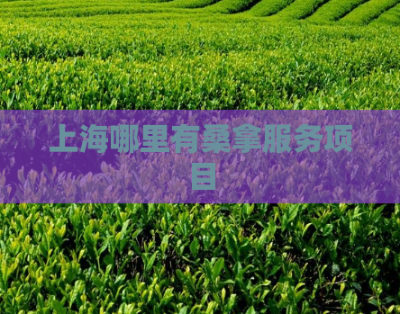 上海哪里有桑拿服务项目
