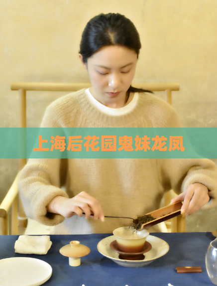 上海后花园鬼妹龙凤