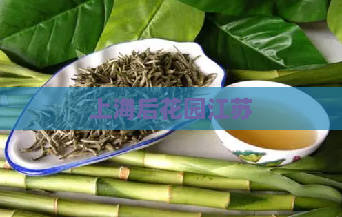 上海后花园江苏