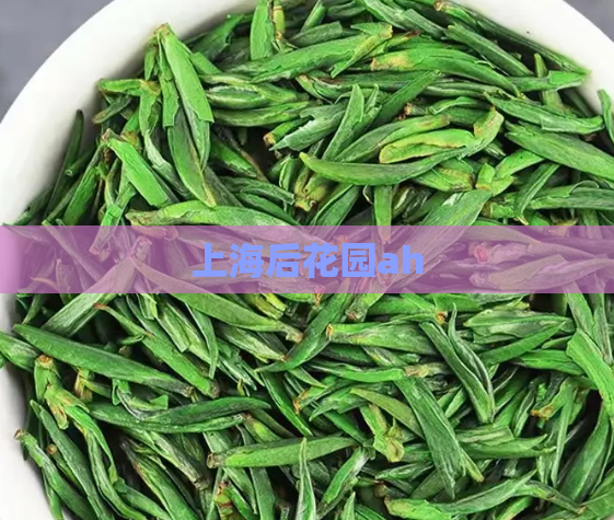 上海后花园ah