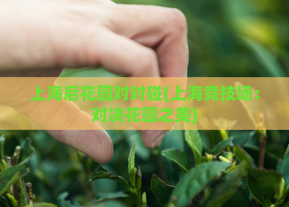 上海后花园对对碰(上海竞技场:对决花园之美)