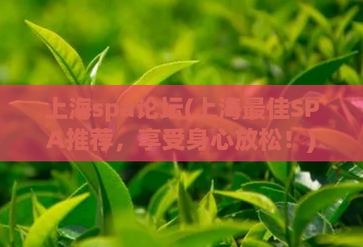 上海spa论坛(上海最佳SPA推荐,享受身心放松!)
