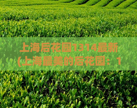 上海后花园1314最新(上海最美的后花园：1314公园)