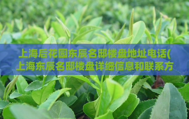 上海后花园东辰名邸楼盘地址电话(上海东辰名邸楼盘详细信息和联系方式)