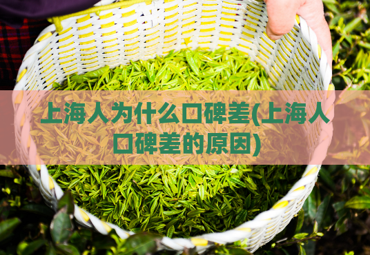 上海人为什么口碑差(上海人口碑差的原因)