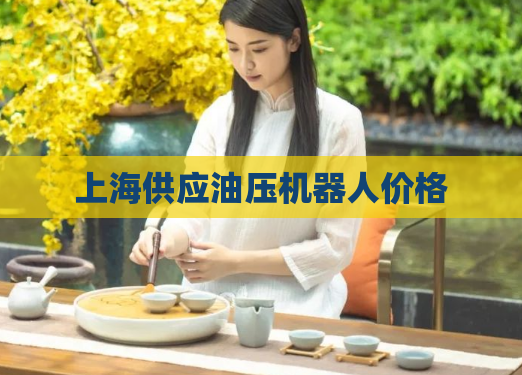 上海供应油压机器人价格