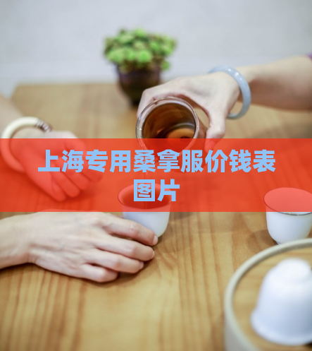 上海专用桑拿服价钱表图片
