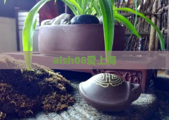 aish08爱上海