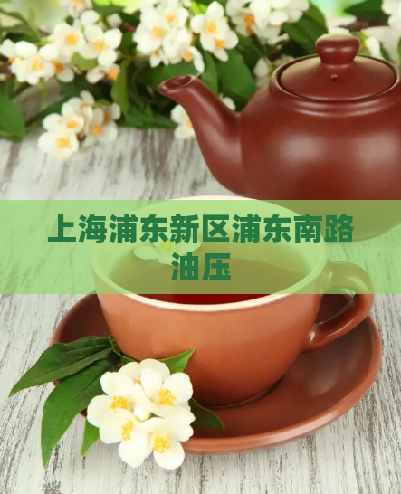 上海浦东新区浦东南路油压