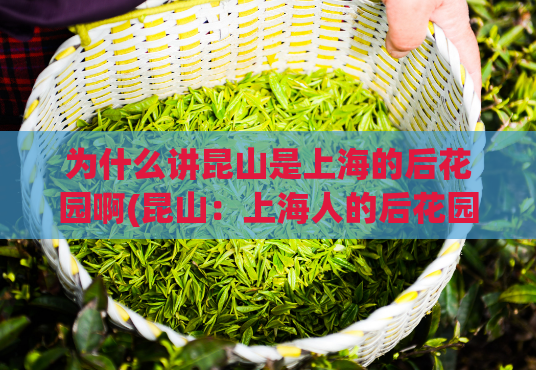 为什么讲昆山是上海的后花园啊(昆山:上海人的后花园)