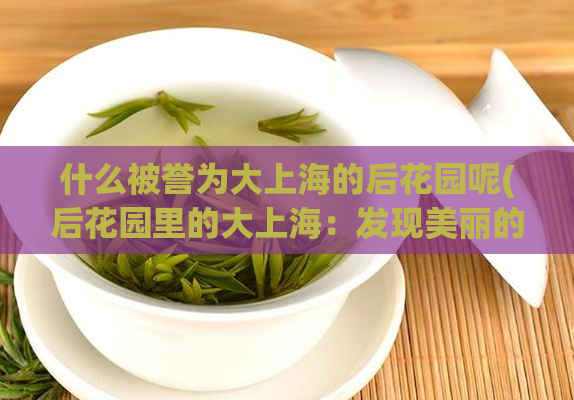 什么被誉为大上海的后花园呢(后花园里的大上海：发现美丽的城市绿洲)