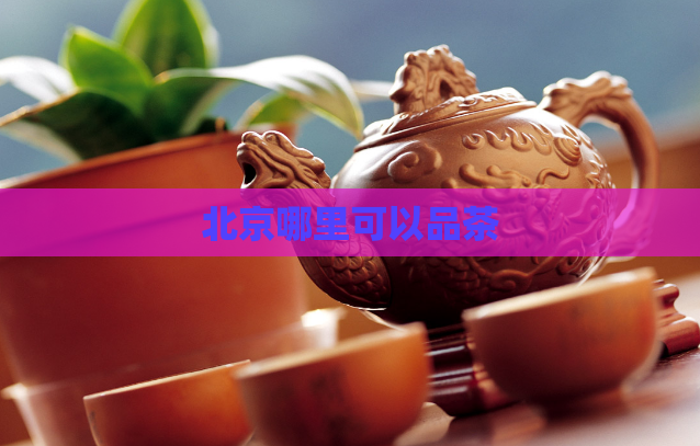 北京哪里可以品茶