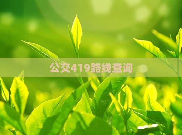 公交419路线查询