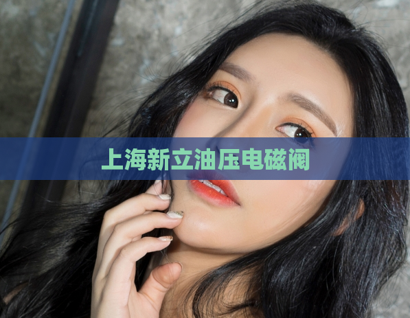 上海新立油压电磁阀