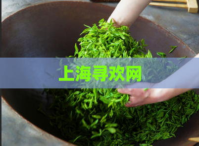 上海寻欢网