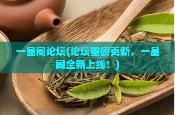 一品阁论坛(论坛重磅更新，一品阁全新上线！)