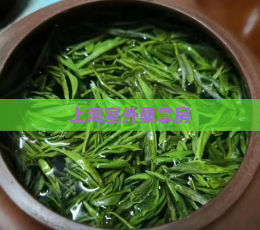 上海室外桑拿房