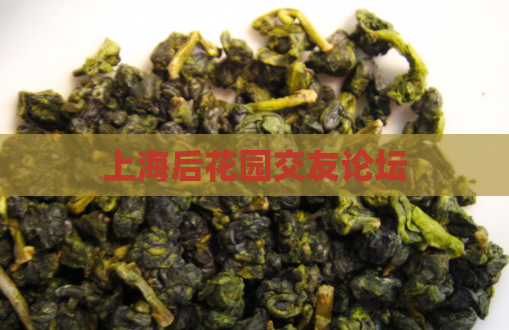 上海后花园交友论坛