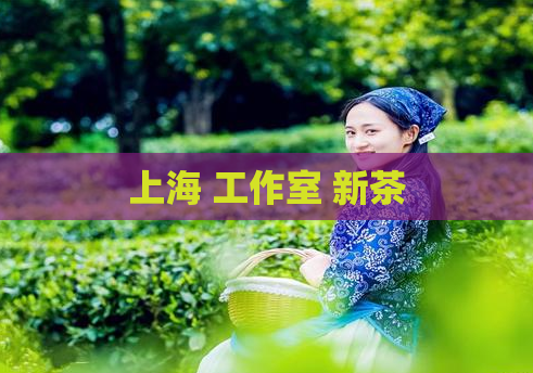 上海 工作室 新茶