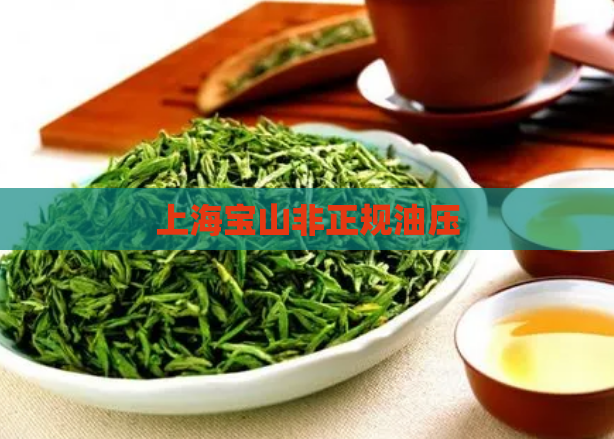 上海宝山非正规油压