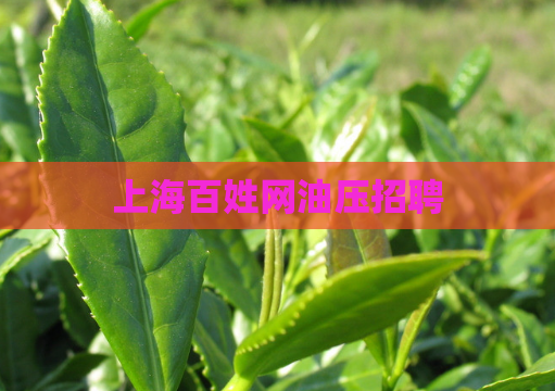 上海百姓网油压招聘