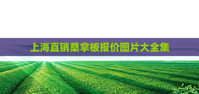 上海直销桑拿板报价图片大全集