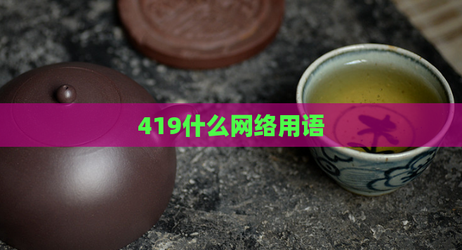419什么网络用语