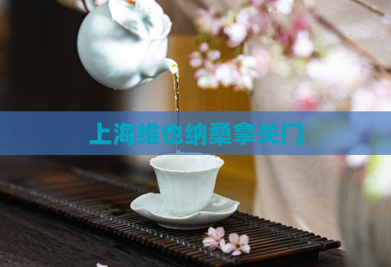 上海维也纳桑拿关门