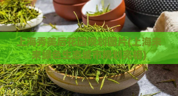 上海秀美后花园规划图片(上海未来绿色生态城市规划亮相)