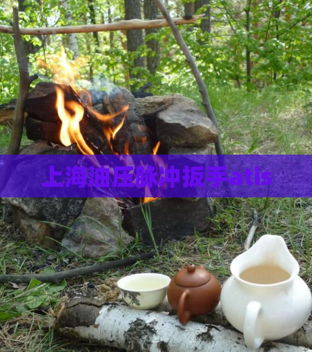 上海油压脉冲扳手atis