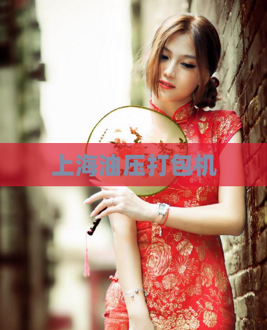 上海油压打包机