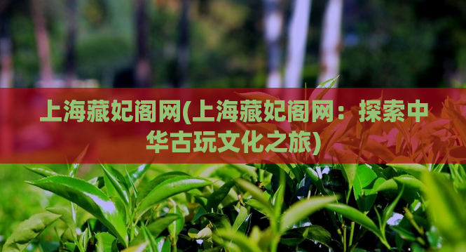 上海藏妃阁网(上海藏妃阁网：探索中华古玩文化之旅)