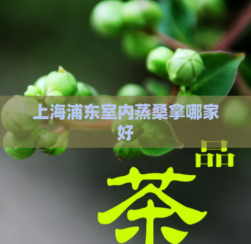 上海浦东室内蒸桑拿哪家好