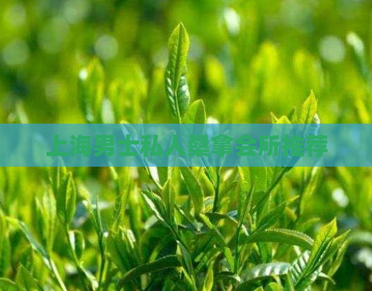 上海男士私人桑拿会所推荐