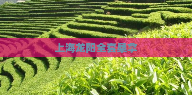 上海龙阳全套桑拿
