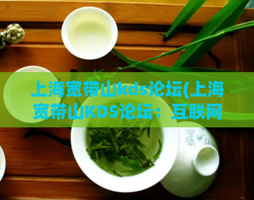上海宽带山kds论坛(上海宽带山KDS论坛:互联网江湖第一风云,全球华人集聚之地)