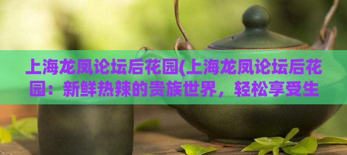 上海龙凤论坛后花园(上海龙凤论坛后花园：新鲜热辣的贵族世界，轻松享受生活)