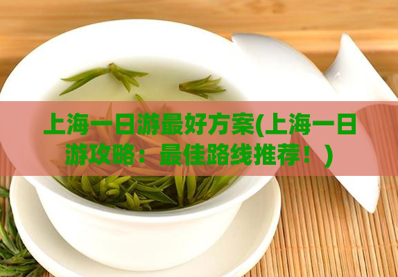 上海一日游最好方案(上海一日游攻略：最佳路线推荐！)