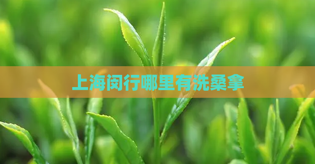 上海闵行哪里有洗桑拿