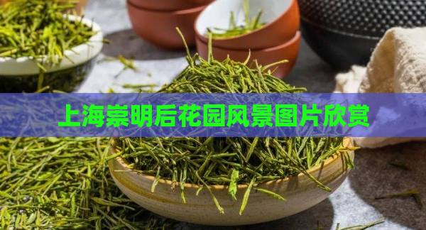 上海崇明后花园风景图片欣赏