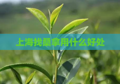 上海找桑拿用什么好处