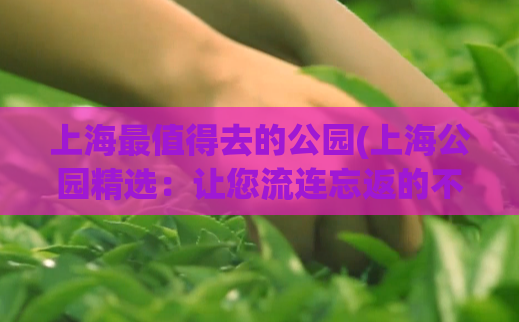 上海最值得去的公园(上海公园精选：让您流连忘返的不可错过地方)