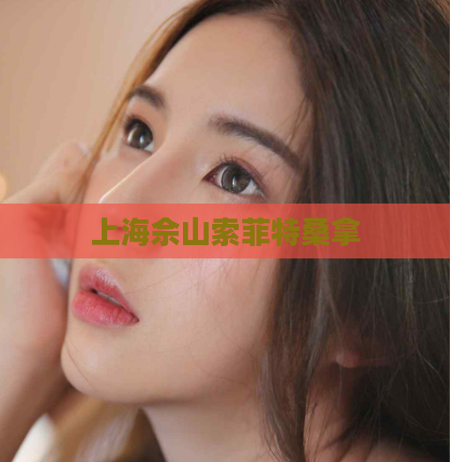 上海佘山索菲特桑拿