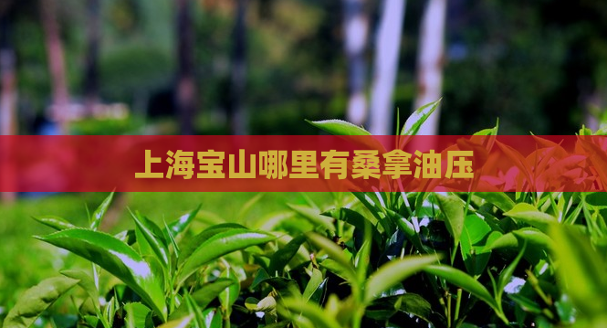 上海宝山哪里有桑拿油压